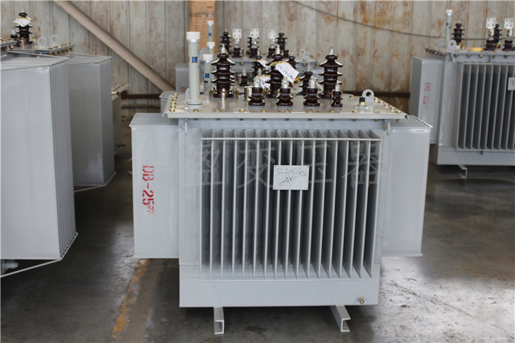 广西S20-800kVA/10kV/0.4kV变压器